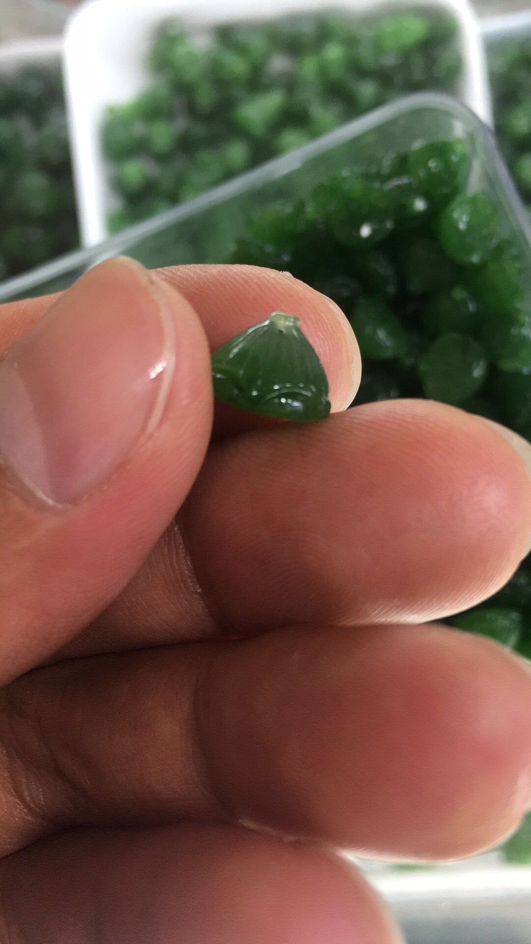 10 Stück kleine Lotus-Samenperlen, natürliche kanadische Jade, Nephrit, Grünstein, Pounamu-Perle, Maori-Stil, NZ-Jade, Kügelchen, grüner Jade