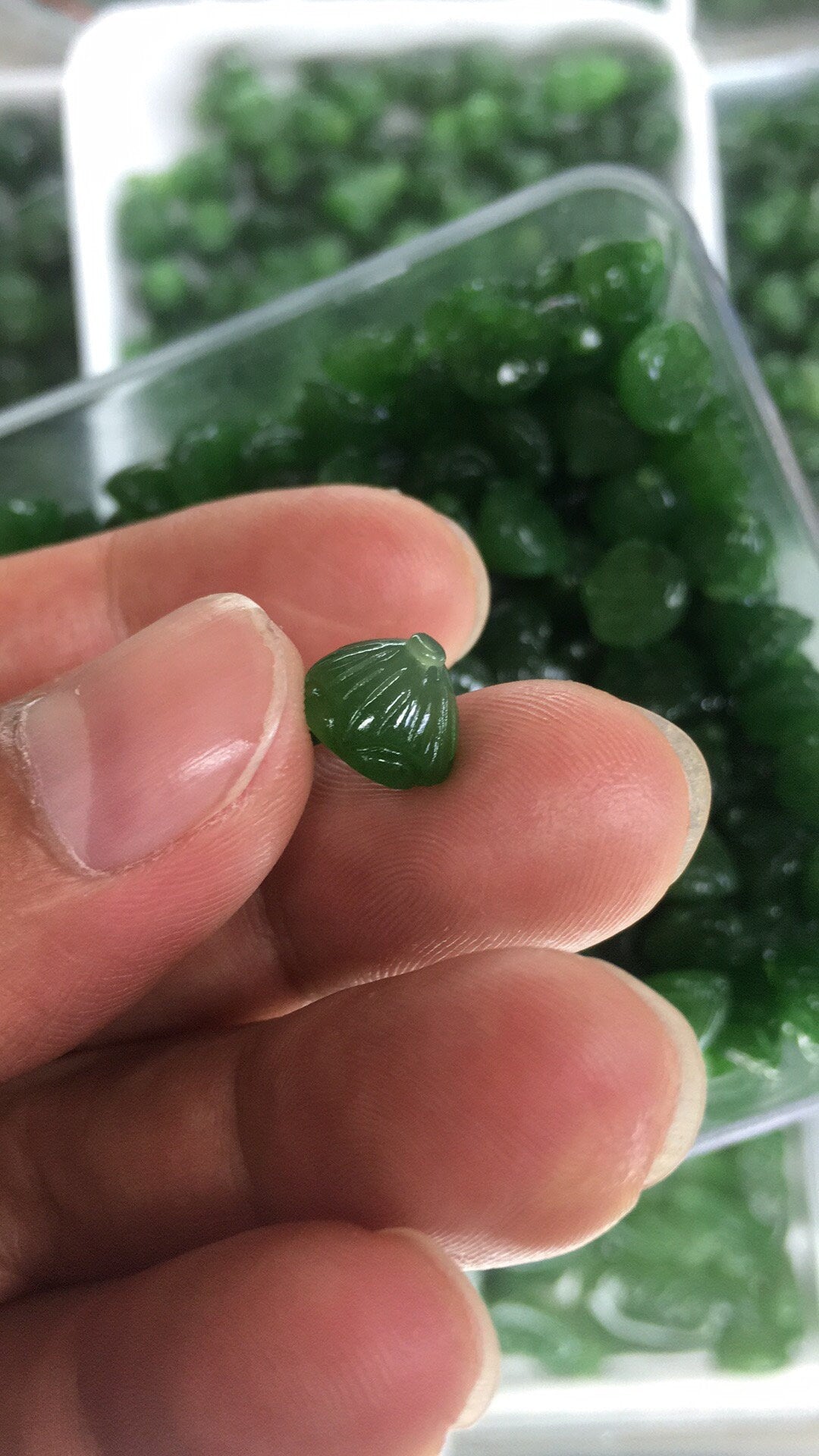 10 Stück kleine Lotus-Samenperlen, natürliche kanadische Jade, Nephrit, Grünstein, Pounamu-Perle, Maori-Stil, NZ-Jade, Kügelchen, grüner Jade