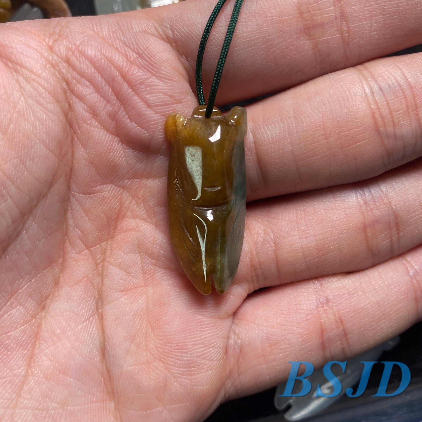 10 STÜCK (Großhandel) Zikade Anhänger Natur Grade A Grüne Jade ICE Jadeit Burma Flache Rundheit Perle Chinesisch geschnitzt, Myanmar Anhänger